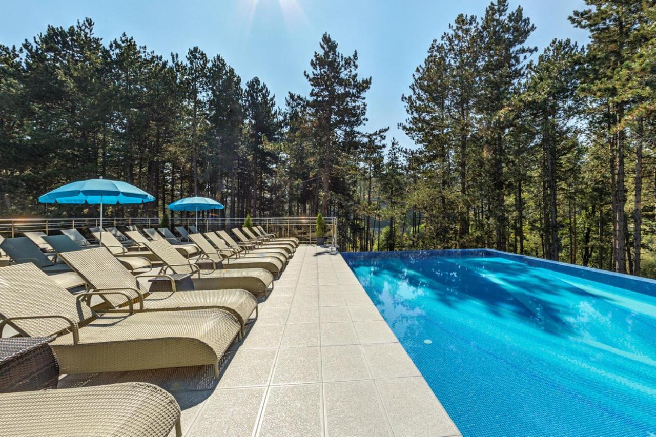 Villa Dea & Villa Ina - Villas & Spa Park In Velingrad Buitenkant foto